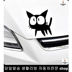 레인보우캣츠아이