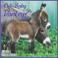 Cute Baby Donkeys 2021 Wall Calendar: Official Cute Baby Donkeys Wall Calendar 2021 12 Months Paperback, Independently Published, English, 9798579237491