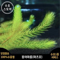 f0482c990018fd37c9fbe7dd30e2f4d2d2fe7fb307739c114b9973d3bc18.png