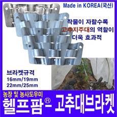 y고추대
