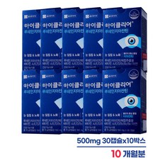 종근당 아이클리어 루테인 지아잔틴 10개월분 눈영양제 눈노화 500mgx30캡슐 10박스, 6개