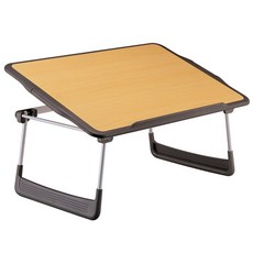 엑토애니데스크