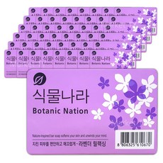 식물나라 비누 100g x 48 라벤더 릴렉싱, 48개