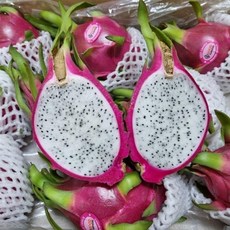 [미스터과일왕] 베트남 레드 용과 흰색 백용과 적용과 2.5kg 5kg (Dragon Fruit), 1박스, 흰 백용과 5kg (9-10과)