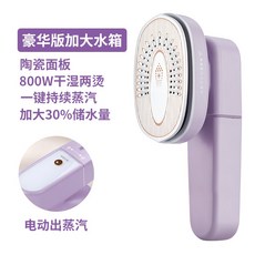 루미스팀다리미