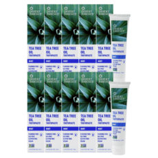 Desert Essence Tea Tree Oil Toothpaste Mint 데저트에센스 내츄럴 티 트리 오일 치약 민트 176g(6.25oz) 10팩 펄이지엥