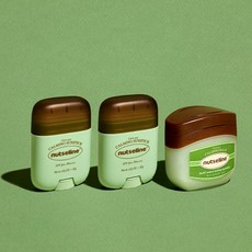 시카밤 선스틱 18g x 2 + 시카밤 50ml