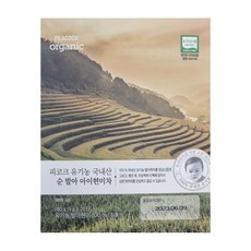 순아이티