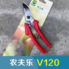 2ec4fc3c9dde5043a1e3e42ce2077c488b3b30252d64814d9039f91b31bc.jpg