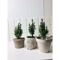 6d5d0b72019341529d79f48d49b8d0f51741aad0ea89795495033dfd5961.jpg