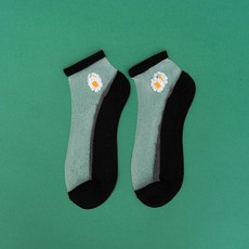 데이지스타킹