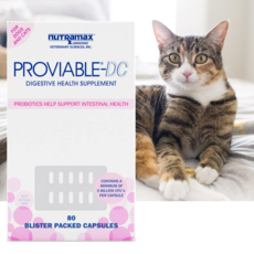  프로바이어블DC 80캡슐 강아지 고양이 유산균 PROVIABLE 뉴트라맥스, 1통 