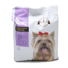 몰리스치즈소시지