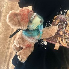 위파인더 신형 롤리타 곰돌이 가방 중상호흡기 곰돌이 피곰 배낭 장식 이색적인 길거리 사진 인형, 곰 부상 환풍기