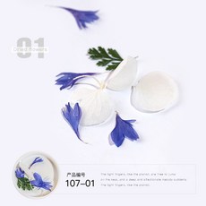 b8d7c59be8eb9d00526333a0b573b44f768d51e3ca3179517f65bc75bd20.jpg