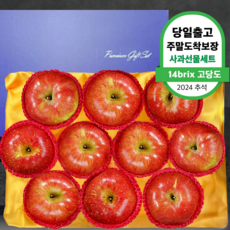 [추석1등선물] 특대과 홍로사과 과일선물세트 정품 홍로사과, 1박스, 특대과 선물용 3kg