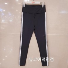 소이레깅스