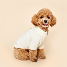 오즈세컨양말