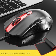 빅마우스