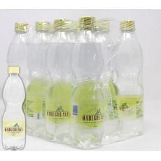 Nabeghlavi 나베그라비 PET 보틀 500ml 12개 HEALTHY WATER 헬시 워터- 천연 탄산수 고미네랄 건강수 조지아 장수국 조지아의 물 미네랄워터-, 1개, 1g