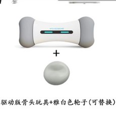 반려동물펫푸드스타일리스트