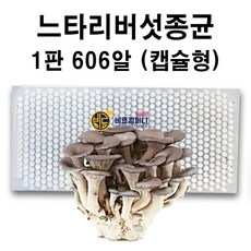 [느타리버섯종균] 606구 (캡슐형) 텃밭 주말농장 버섯종균 씨감자 모종 비료 느타리 버섯 재배 키우기 종균 모종