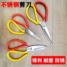 머리뼈