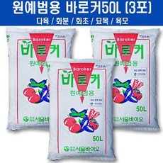 바로커상토