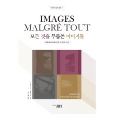 레베카책