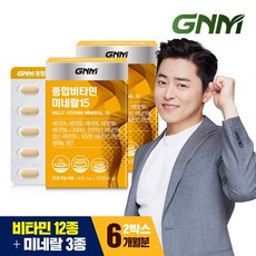 [총 6개월분] GNM 종합비타민 미네랄 15 90정 2박스, 1개, 단품