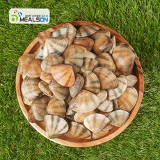 밀스온 국내산 제철 생물 조개 비단조개, 3개, 대 1kg