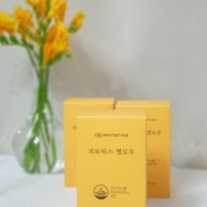 피토틱스옐로우프리미엄