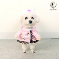 동물간호사를위한임상테크닉