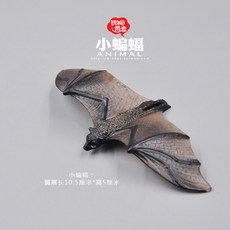박쥐