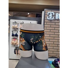 보디가드드로즈