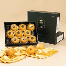 과일꾼 산지직송 나주배 ( 가정용 / 과일선물세트), 선물용 7.5kg 10과내, 1Box