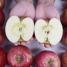 사과 부사 청송 사과 햇 부사사과 1박스, 청송부사 일반 5kg  16-18과, 1개