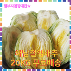 7453427146a62cd588f185a46bbcc238fb22ab887ff933800fc0efe388f2.png