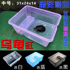 개구리집꾸미기