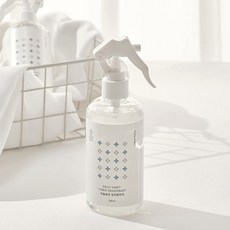 오늘습관 섬유탈취제 250ml