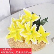 필름카메라현상기