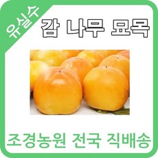46eb8b330b2d7e198e5962dd2cbf0bc439eb316bac50452b77c08357afdf.jpg