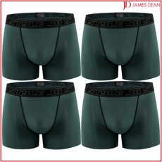 제임스딘