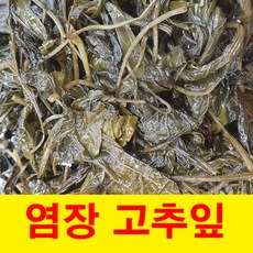 건영푸드 염장 고추잎 1kg 장아찌 소금 고춧잎