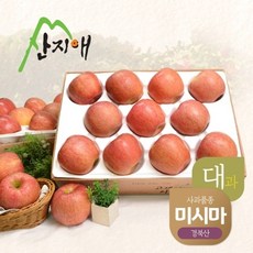 기타 산지애 알뜰 못난이사과(대과) 4kg 2box, 상세페이지 참고