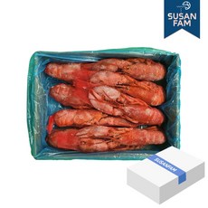 캐나다 자숙 랍스터 4.54kg 약9미(500/600) 바닷가재 랍스타, 1개