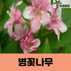 c6cd9117a35b2372957ebeb101f48c57d6ce119c87f8e423695e7c14bae9.jpg