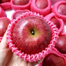 경북 보조개사과 꿀사과 흠집 못난이 사과 가정용 5kg