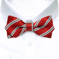 줄무늬나비넥타이