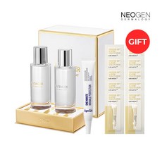 네오젠베이스코트